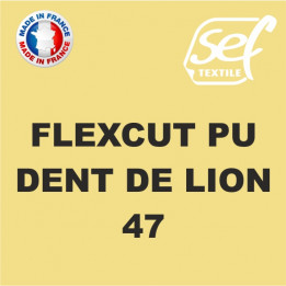 Vinyle thermocollant PU FlexCut Dent de lion 47