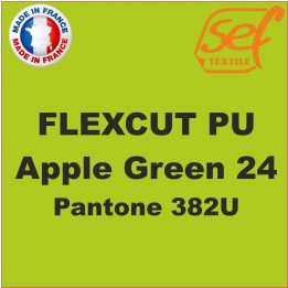 Vinyle thermocollant PU FlexCut X Apple Green 24