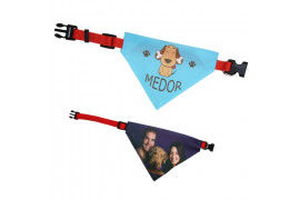 Collier rouge avec le bandana pour chien 20 à 30 cm Largeur 1 cm