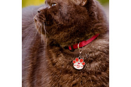 Pendentif patte d'animal rouge pour chien ou chat avec petit mousqueton (vendu à l'unité)