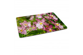 Tapis de souris Sublistar® rectangulaire 19 x 27 cm épaisseur 3 mm